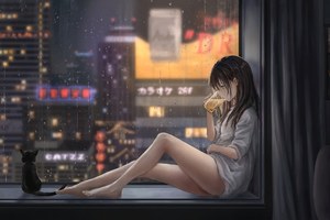 日主题-V2视频演示介绍