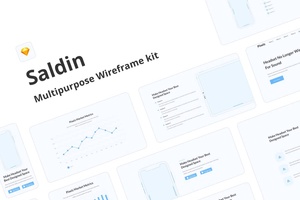 Saldin 多用途原型设计