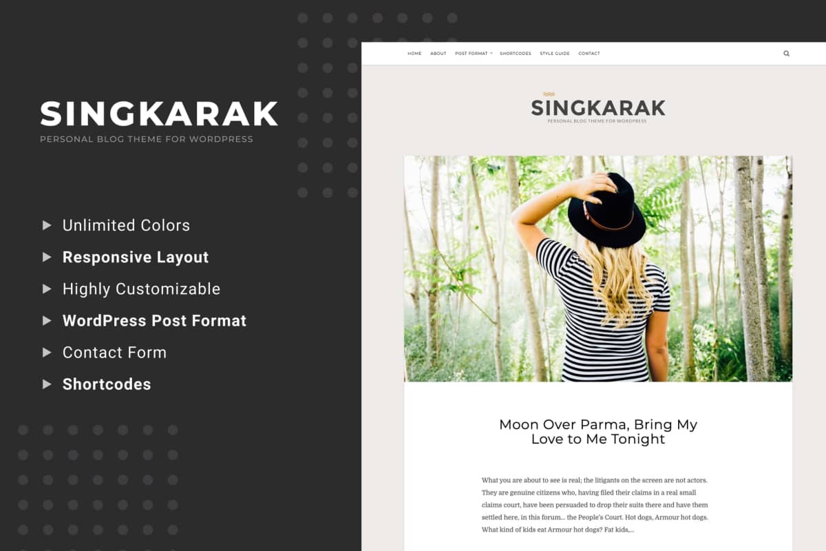 Singkarak-响应式WordPress博客主题