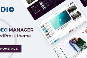 Vidio-视频管理器WordPress主题